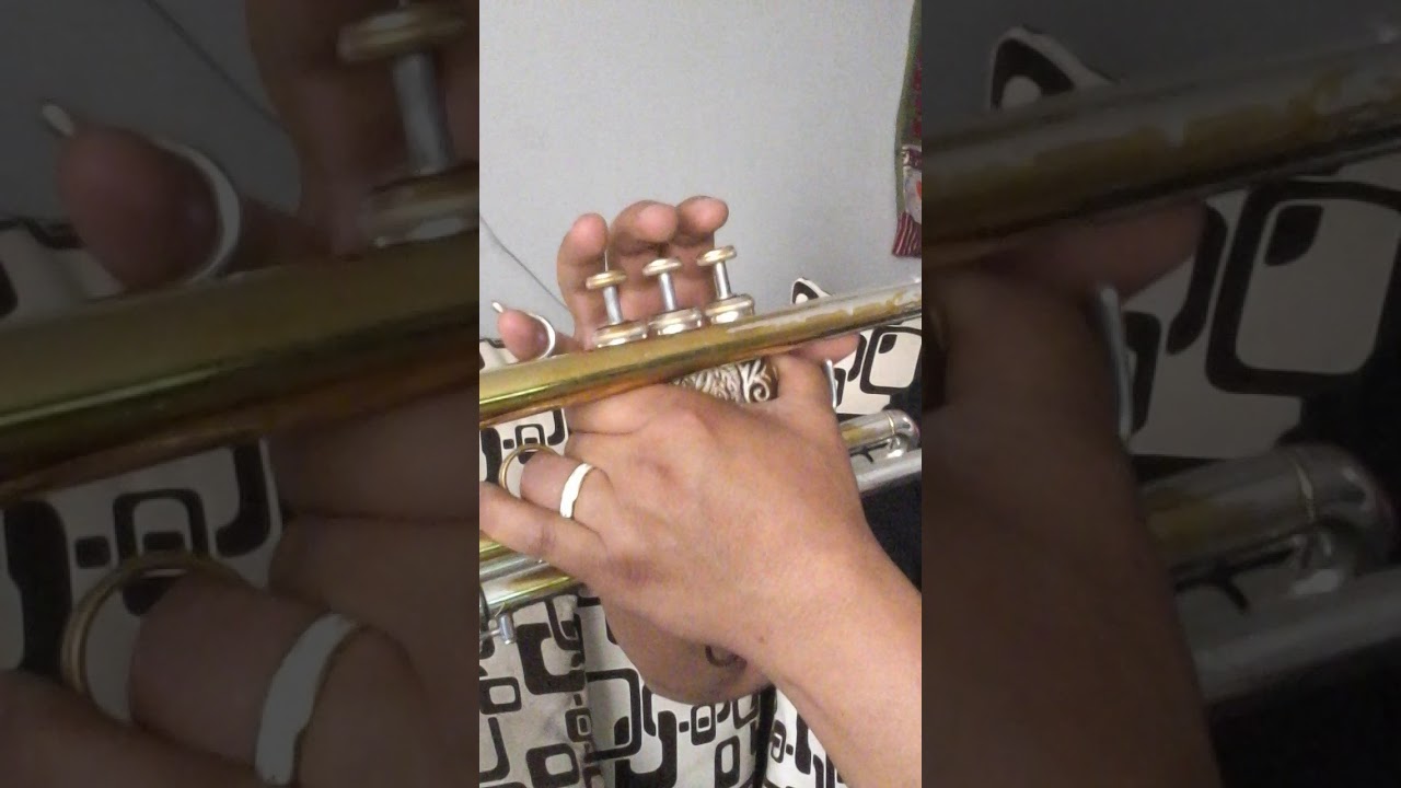 que bonito amor en trompeta segunda y primera