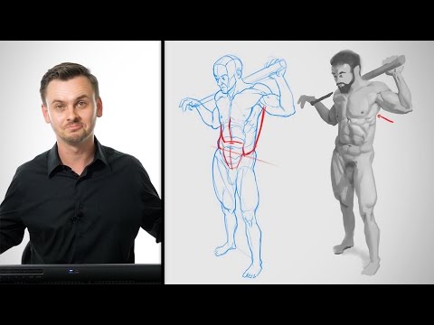 Anatomy Critiques - The Abs