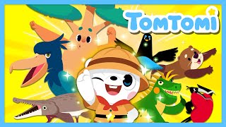 Only Found Here! 🐾🌱 Super Weird Animals \u0026 Plants! | Animal Song | Kids Song | TOMTOMI