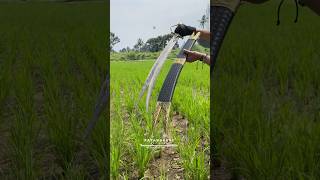 Pedang Replika Zulfikar Custom — Detail Bilah Baja Leburan/Pamor/Damaskus &amp; Kemegahan Legendaris!