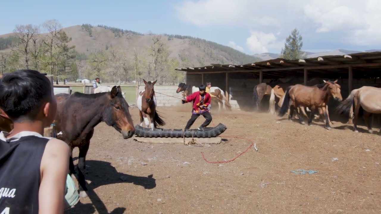 Тэрэлж Уб2 Энхбаатар найзынд зочиллоо. Хүүхдүүд тусад ороод мундаг болжээ.