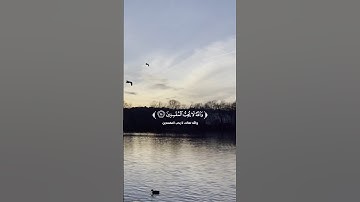 🌸 واللهُ لَا يُحِبُّ المُفسِدِينَ🌸 سورة: المائدة 🌸القارئ: معاذ صيام🌸 #quran #قرآن