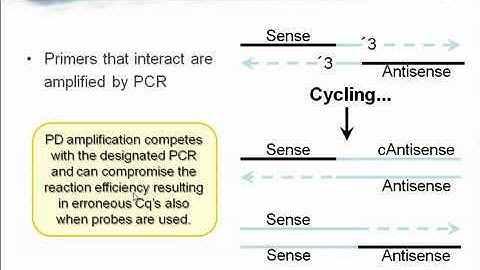 1 Getting started qPCR tutorial  Mikael Kubista