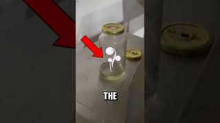 How A Pulsejet Engine Works (@5trungcua)