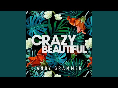 Crazy Beautiful - Andy Grammer