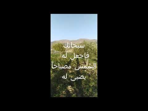 ابتهالات النقشبندي ظلمت نفسي بعصيان