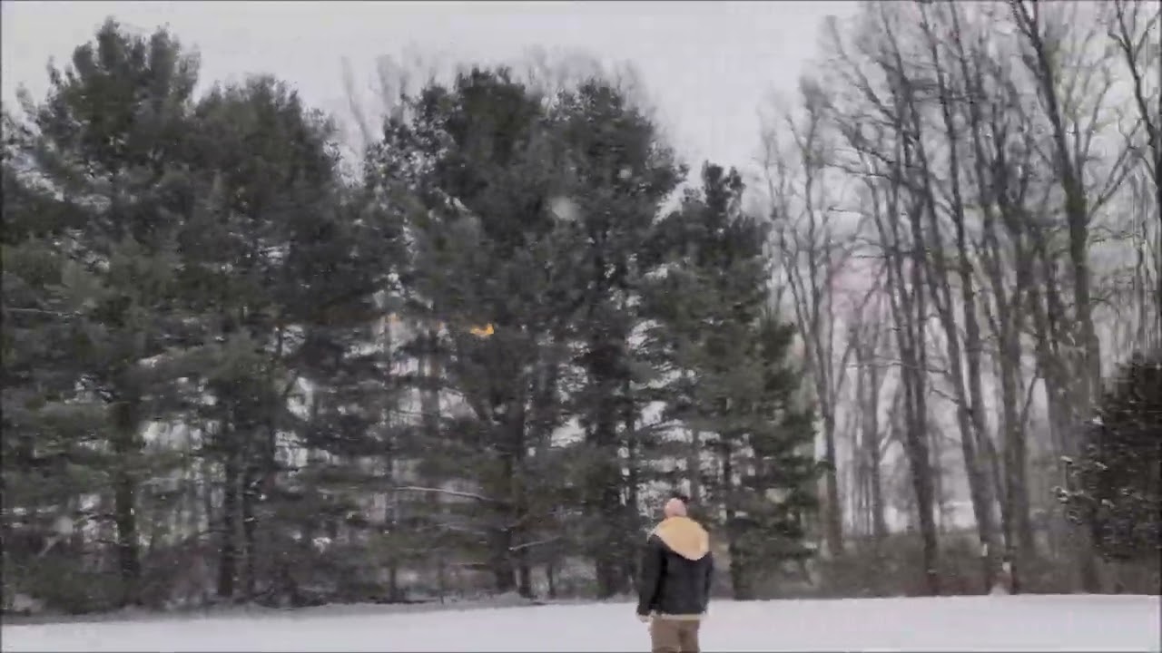 Free Flight in Michigan - New Years 2026