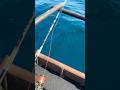 Fishing on Traditionell Boat #fishing #boat #sea #ocean #travel #seaview #seafood #water #fishvideo