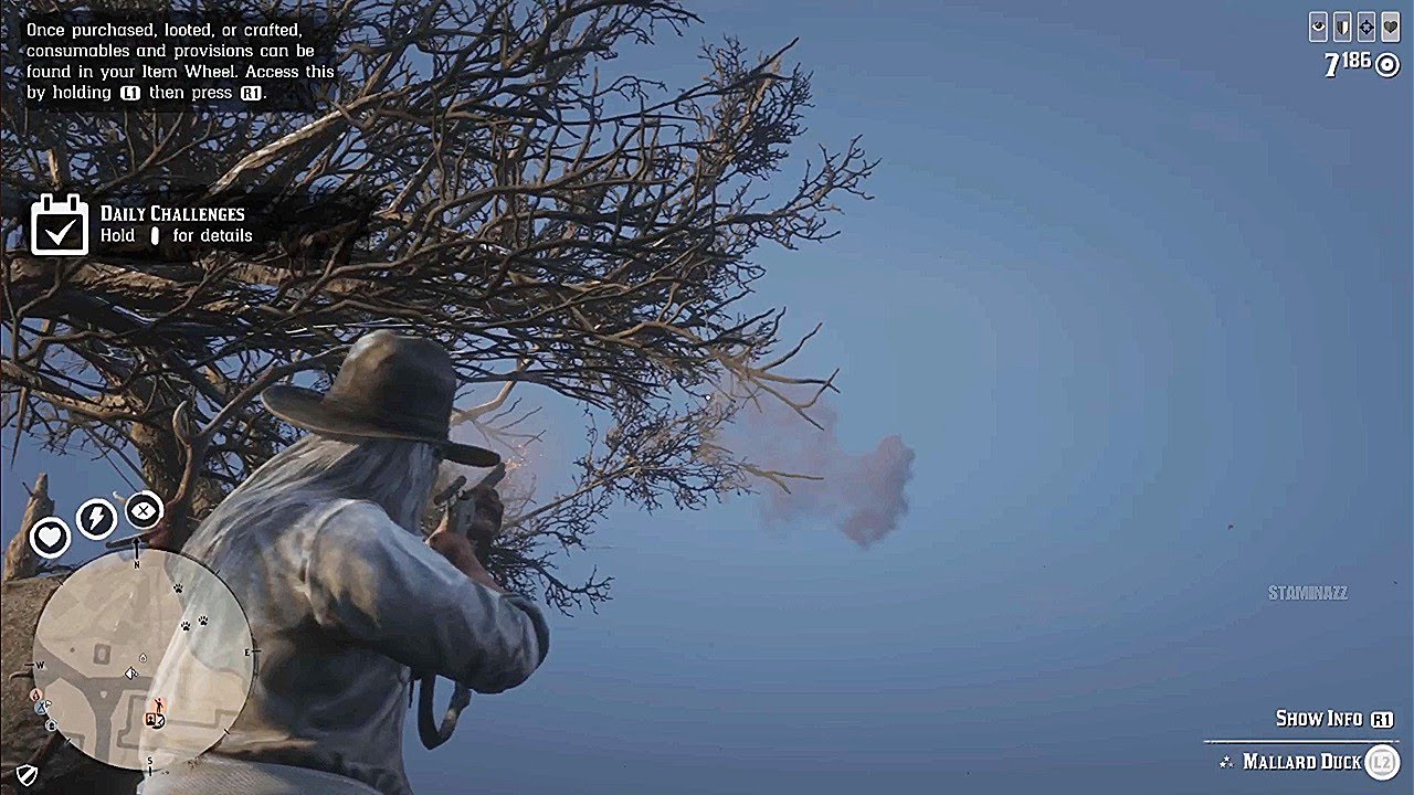 BIZARRE Bad Design | RDR 2