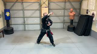 Details Kenpo Long Form 4 | Part 2: Walk-Through Pace | Jamie Seabrook Guide