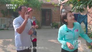 《远方的家》 20210312 大运河特辑（6） 岛中运河 梦里水乡| CCTV中文国际