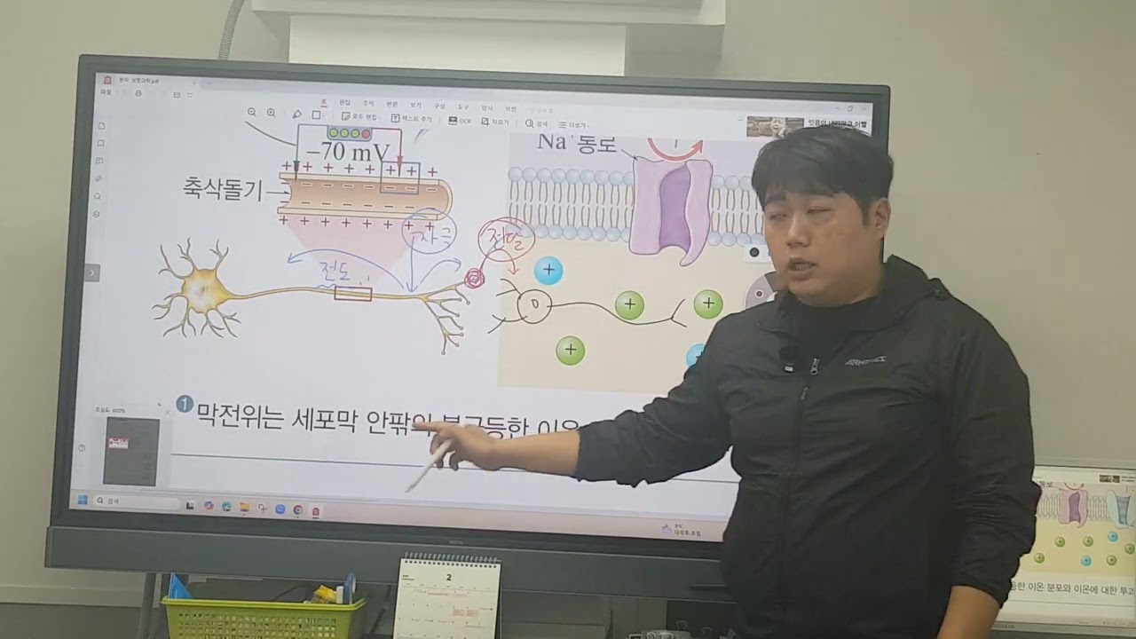 생명과학 자극의 전도