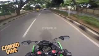 Combo Vine 1463