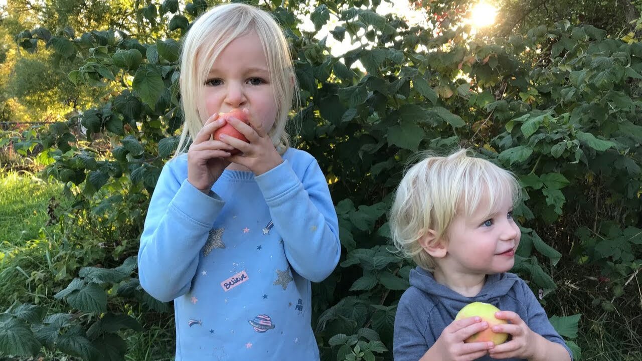 AllergyFriendly Apple Crisp Eczema Update Raising A to Z YouTube