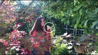 Garden Alchemy Book Trailer