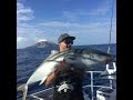 Fishing & Adventure Season 4 Ep 8 - WHITE ISLAND Whakatane