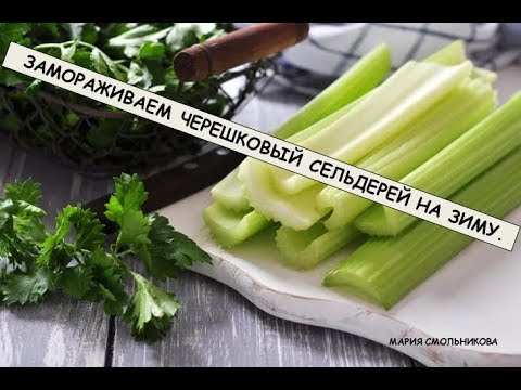 Video: Сельдерей кошулган сүт коду шорпосу