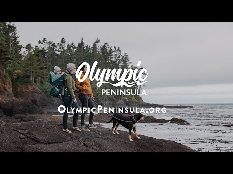 Olympic Peninsula Craigslist: Your Next Project Awaits