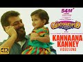 Kannaana kanney full song  viswasam songs  ajith kumar nayanthara  dimman  siva