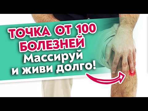 Точка долголетия от ВСЕХ болезней! Как найти Цзу-сань-ли? Точка от 100 болезней