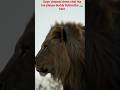 #cosplayer #lion #lionking Master the Lion Effect: Easy Cyborg Skull Cosplay Hacks #animals