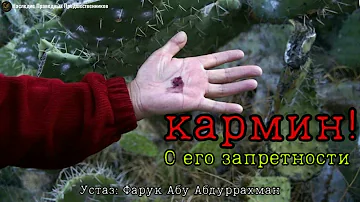 КАРМИН (Е120). О ЕГО ЗАПРЕТНОСТИ.