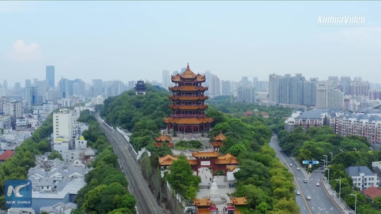 China revises COVID-19 data to leave no case unrecorded: WHO official