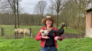 Chez Katia Miersman À Walincourt Selvigny Cambrésis - Ferme De Sorval