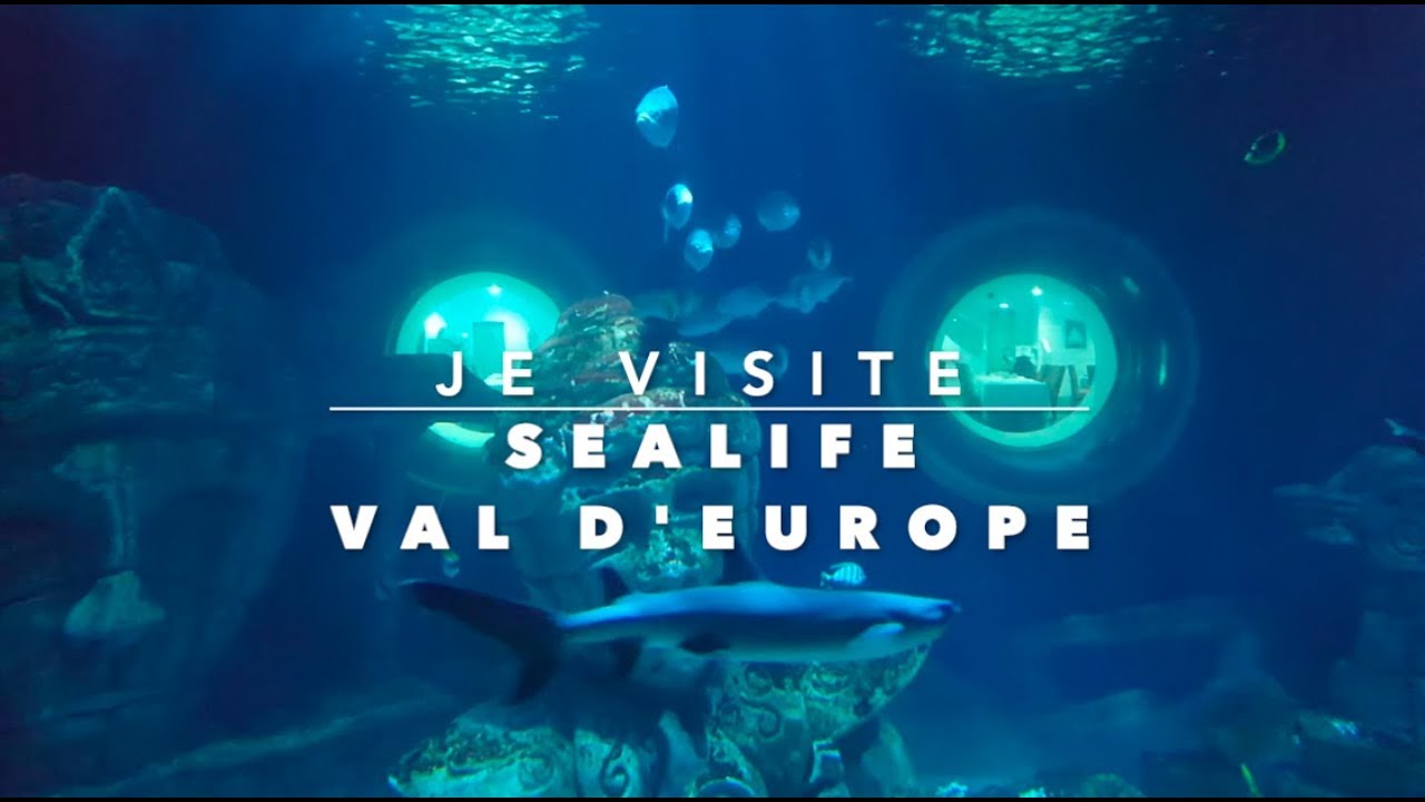 Je visite SEALIFE val d'Europe Un aquarium géant en Seine et Marne YouTube