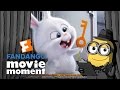 Youtube Thumbnail Brian the Minion watches The Secret Life of Pets - Fandango Movie Moment (2016)