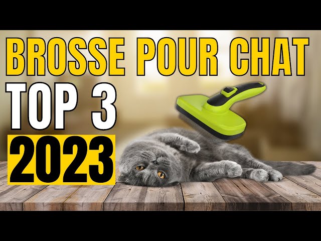 Les 3 Meilleures Brosses Anti Poils de Chat 2024 - Comparatif et avis