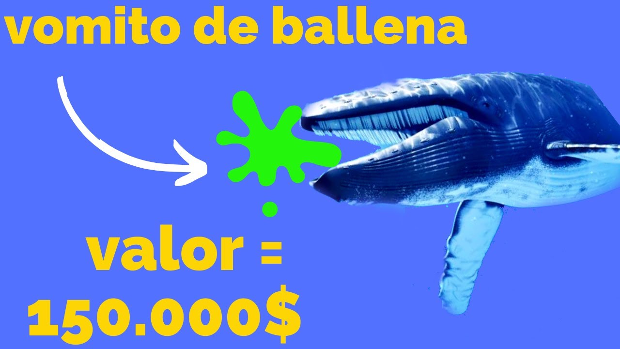 Porque El vomito de ballena vale tanto?? 150.000?? $ MUCHO DINERO - YouTube