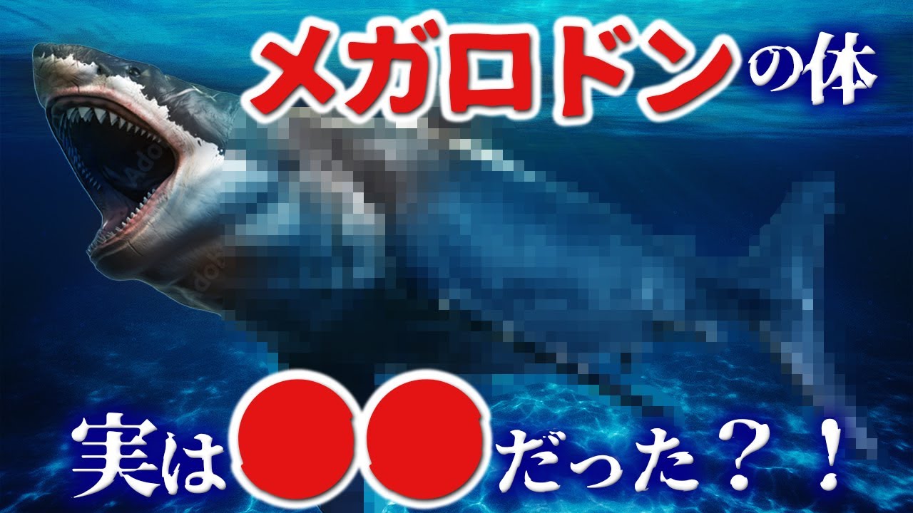 【ゆっくり解説】メガロドンは意外と◯◯だった！？最強生物の本当の姿とは？
