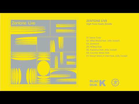 High Tone meets Zenzile (Zentone) - Never Work In Vain feat. Jolly Joseph LIVE