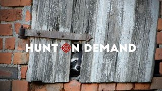 Ein Berufsjäger Erklärt Die Baujagd Hunt On Demand Trailer