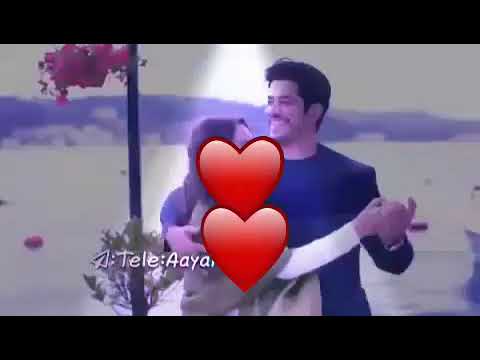 انت حبيب العمر