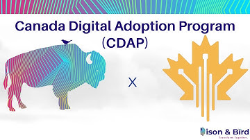 What is CDAP? The Canadian Digital Adoption Program