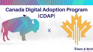 What is CDAP The Canadian Digital Adoption Program