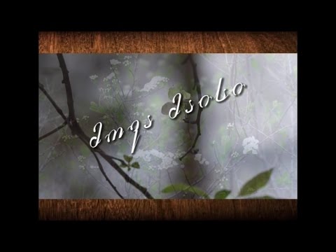 მოვა მაისი