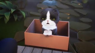 Kitten Match: PERFECT Time with Cute Kitties COMPILATION! by EaseHere - TOP Healing Stories and Soundscapes 35,788 views 2 years ago 31 seconds