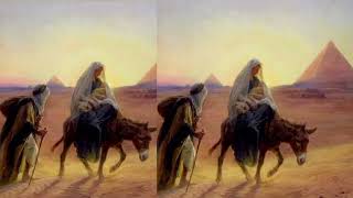 Pray the Rosary of the Seven Sorrows of the Blessed Virgin Mary