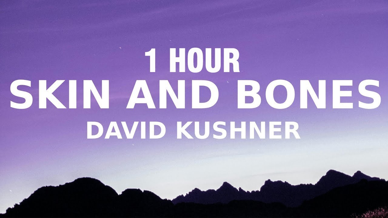[1 HOUR] David Kushner Skin and Bones (Lyrics) wrap me in your skin