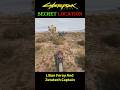 Cyberpunk 2077 - Secret Container in Badlands #cyberpunk2077 #secretlocation