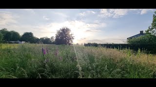 Te Koop - Wittevrouwestraat Te Herent