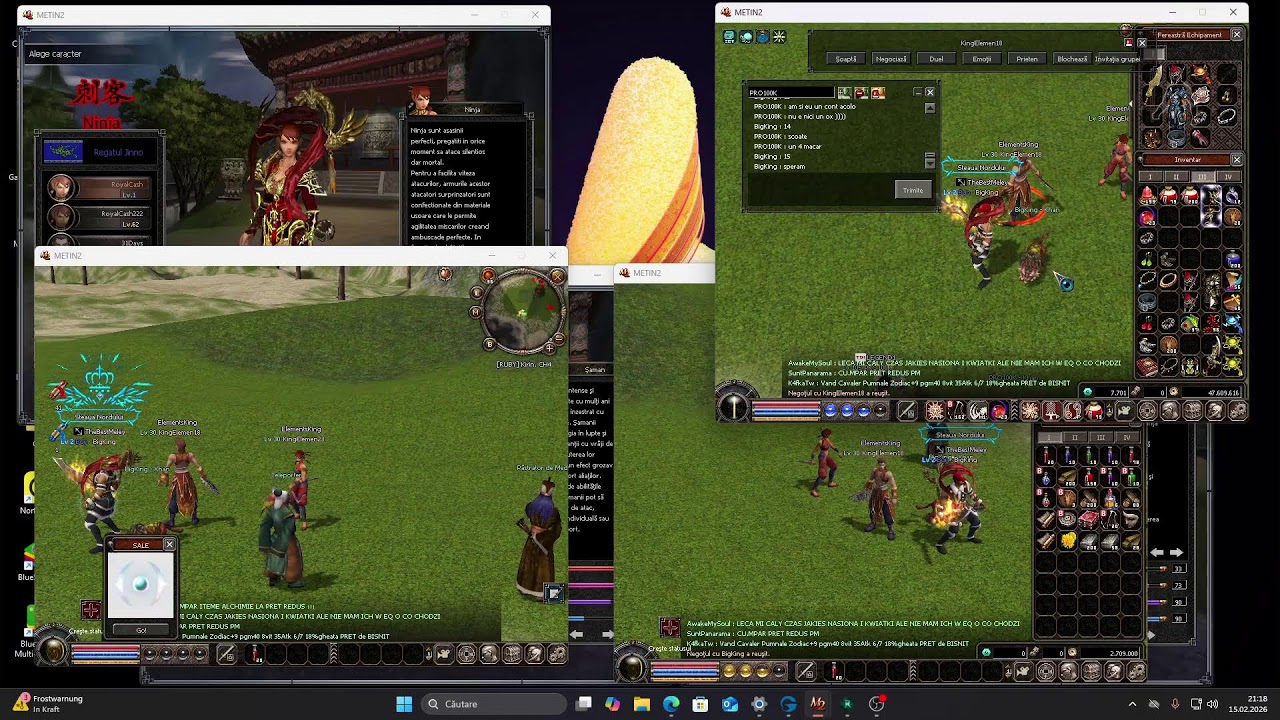 Element gheata pe arc zodiac 46 medie