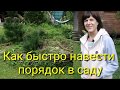 Садовый марафон.  Как я  навела порядок на грядках  за 3 дня. Что  было как стало