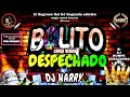 Bolito Corta Vena Despechado🍺🤒 Dj Harry👑-(El Regreso Del DJ Vol.2)-💽Magix Sound Records💽🎶