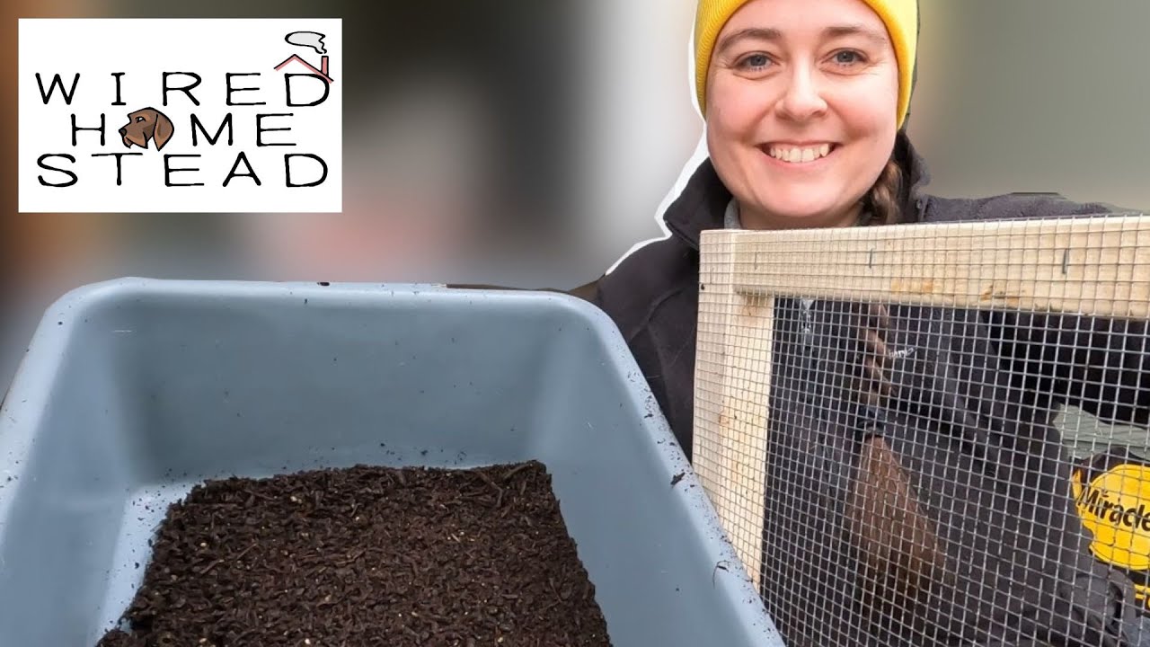 Soil Sifter DIY How To Build A Soil Sifter Screen YouTube