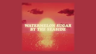Video thumbnail of "“hi, baby do you wanna be mine” (lyrics) watermelon sugar x seaside - harry styles & seb"