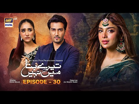 Tere Bina Mein Nahi Episode 30 18th July 2023 English Subtitles ARY Digital